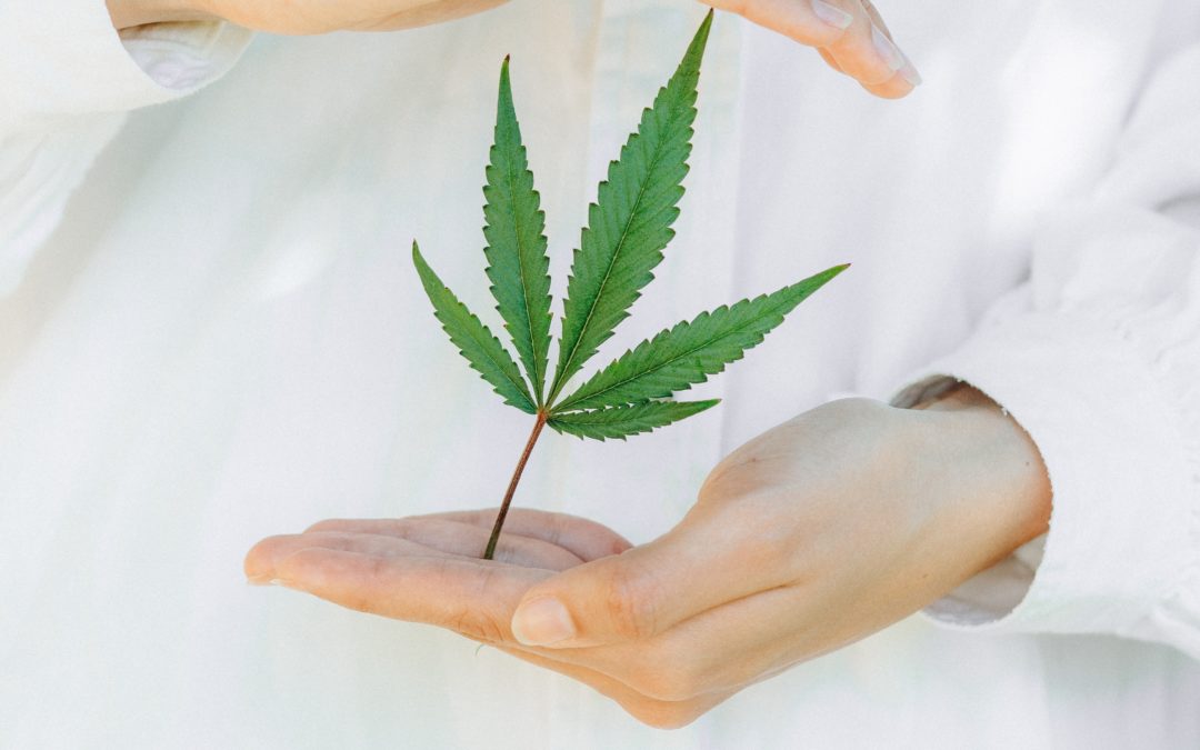Are Extracts Greater than Flower
